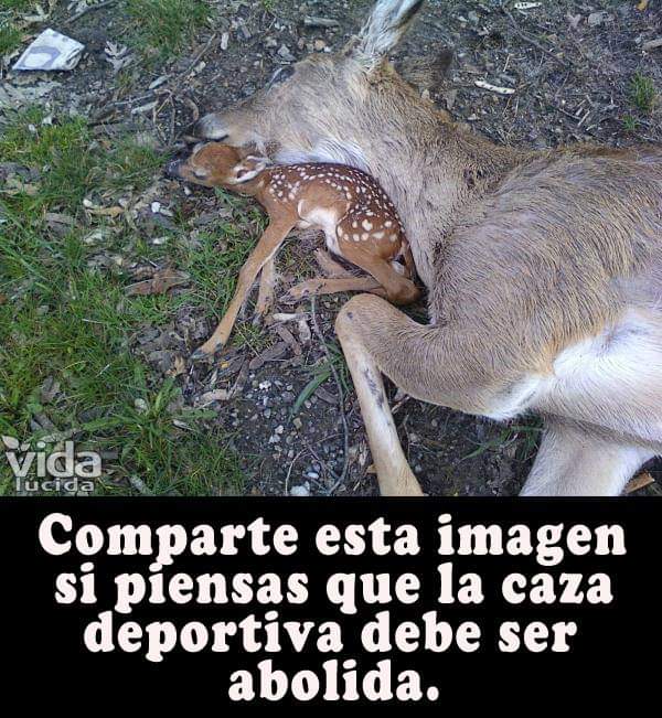 jose Angel (@joseang83394176) on Twitter photo 