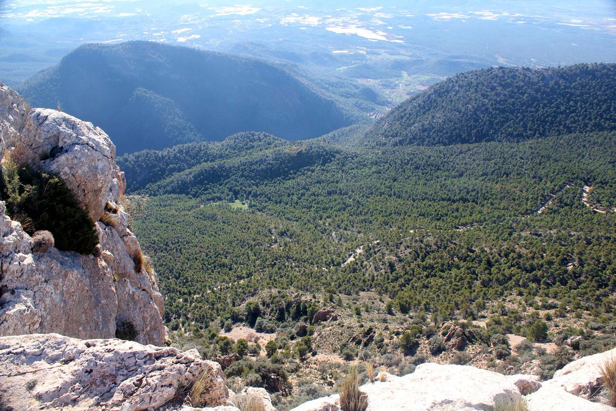 La_Carrasca's tweet image. 🌲🚶♀️ Próxima ruta: Ascensión al Pedro López de Sierra Espuña.
Descubre el paisaje, la naturaleza y el arte de la piedra en seco. Disfruta de la red de sendas diseñadas para la repoblación de la sierra desde finales del siglo XIX. 🌲
lacarrascaorg.wordpress.com/2024/09/29/asc…
#Lorca #sierraespuña