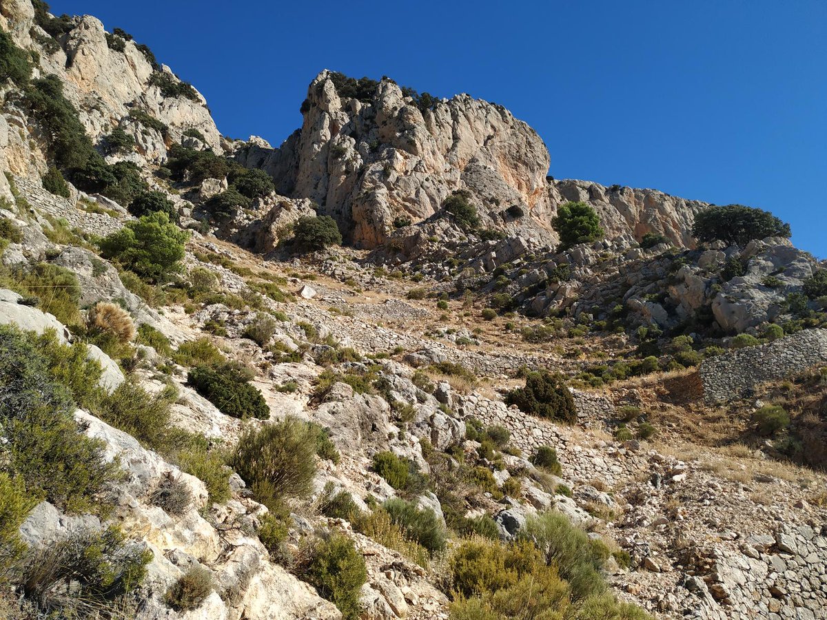 La_Carrasca's tweet image. 🌲🚶♀️ Próxima ruta: Ascensión al Pedro López de Sierra Espuña.
Descubre el paisaje, la naturaleza y el arte de la piedra en seco. Disfruta de la red de sendas diseñadas para la repoblación de la sierra desde finales del siglo XIX. 🌲
lacarrascaorg.wordpress.com/2024/09/29/asc…
#Lorca #sierraespuña