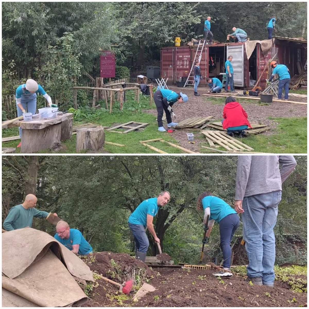 natuurkamer's tweet photo. Om ruimte te maken voor zonnepanelen is het met hulp van #libertyglobalnederland gelukt om een deel van ons groene dak te verplaatsen. Het is nu ook groen... bovenop de containers🌿 Dank! 😁

Op de leeggehaalde delen worden maandag de 30 panelen geplaatst! ☀️ https://t.co/ZxZgDpEifQ