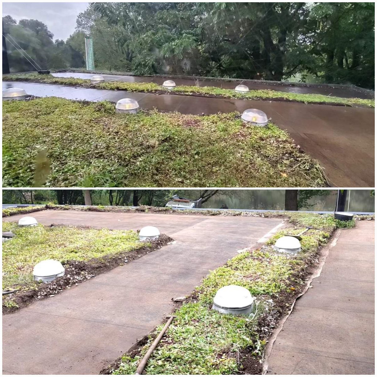 Om ruimte te maken voor zonnepanelen is het met hulp van #libertyglobalnederland gelukt om een deel van ons groene dak te verplaatsen. Het is nu ook groen... bovenop de containers🌿 Dank! 😁

Op de leeggehaalde delen worden maandag de 30 panelen geplaatst! ☀️