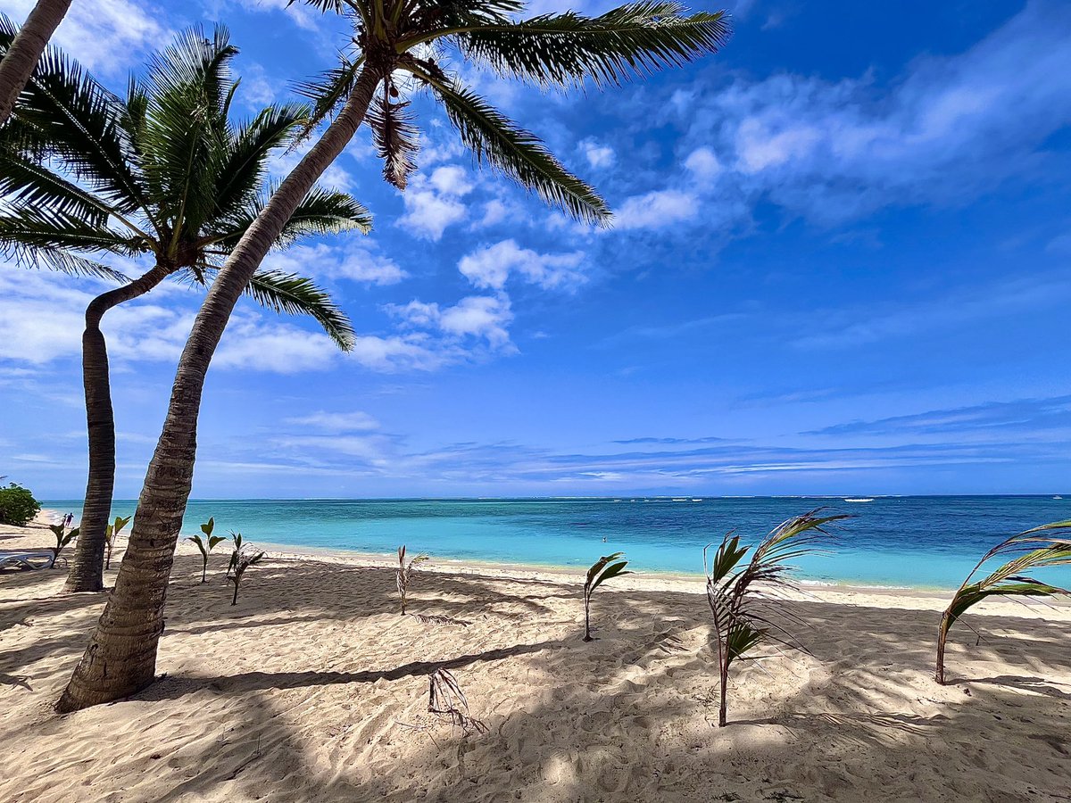 gingill12's tweet photo. Beach Day 🏝️ #Mauritius #LeMourne #beach #paradise #wanderlust #makingmemories https://t.co/D4FgUMFzzA