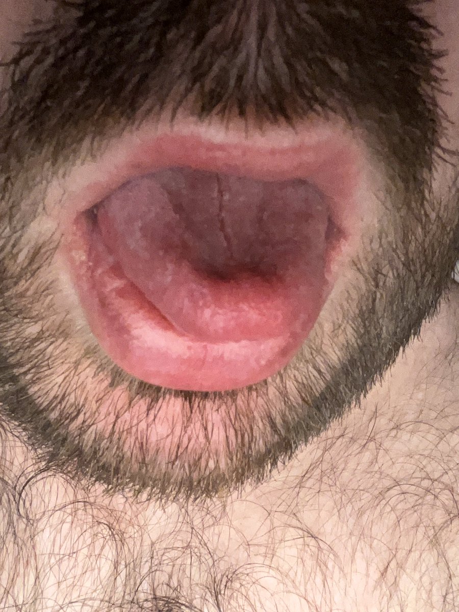 fatbelfast's tweet photo. @HornyNIBelf https://t.co/OXU2hNSfJB