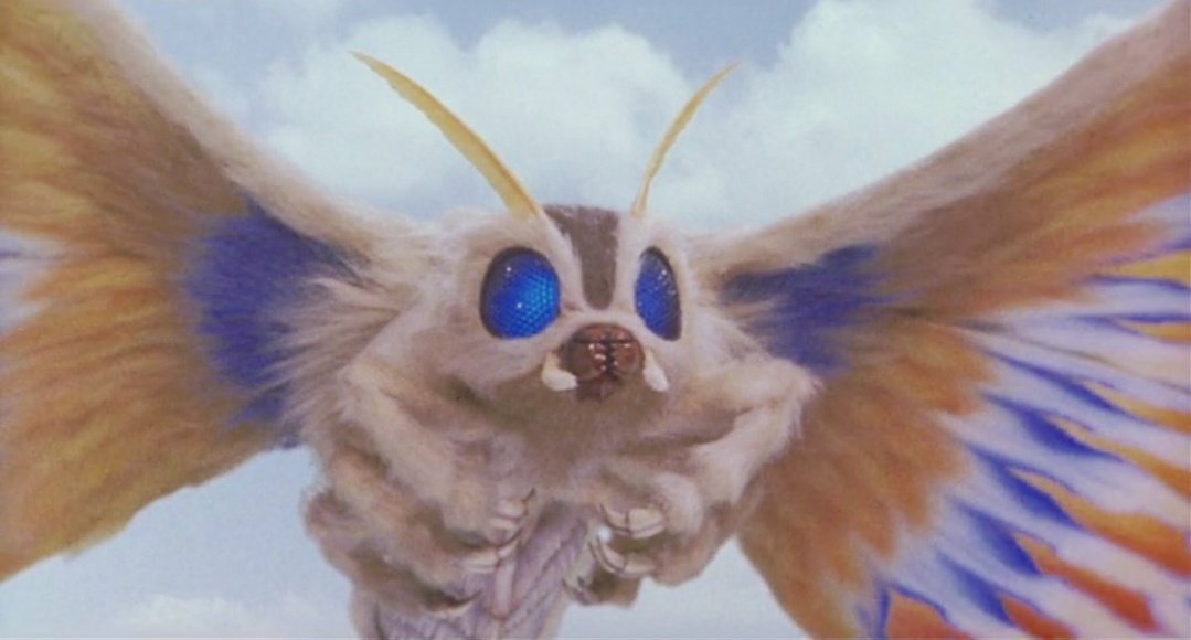 GYn4dpsasAAluIM.jpg?format=jpg