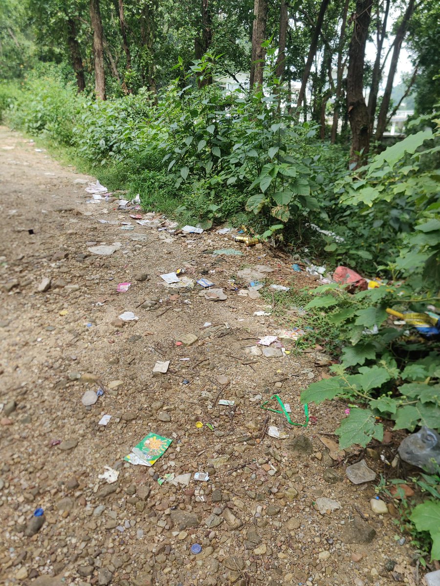 palden_nam25195's tweet image. @cleanify_vet ....forest roadside clean up.
Complete today&apos;s challenge...#daap