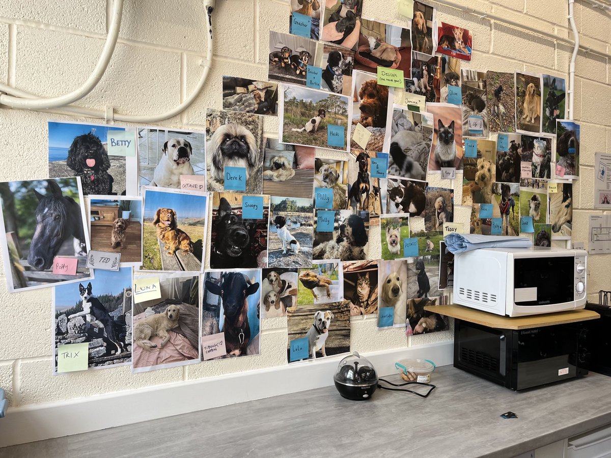 The cast &amp;crew on #ACGAS love our animals so much that there is a wall at our studio dedicated to our own four legged friends.