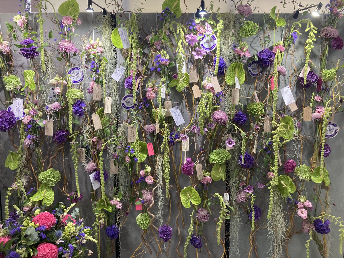 Jill Timms tweet media