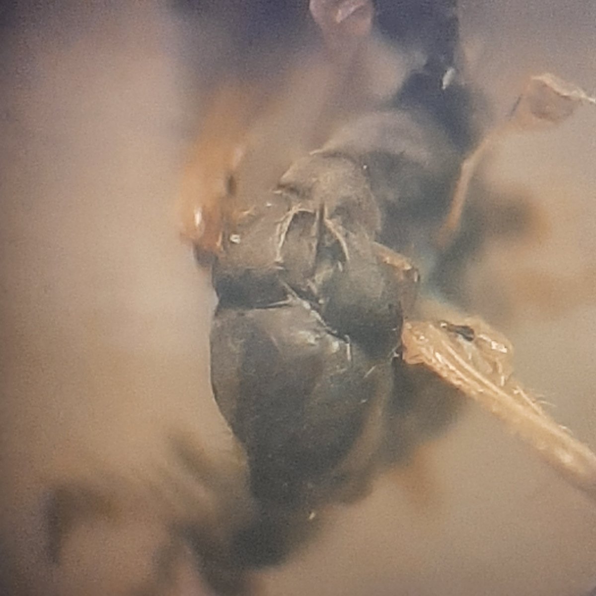 Hilco Meijer tweet media