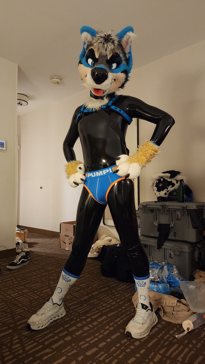 Zashi Washi 🔜 ThaiTails tweet media