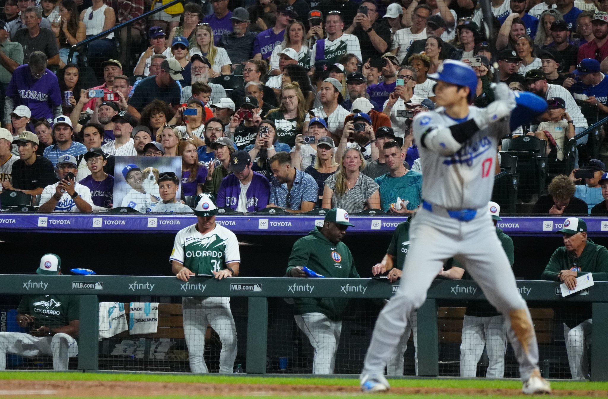 デコピン、打席に立つ Full-Count MLB取材班 on X: