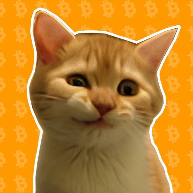 dexscreener.com/ethereum/0xd71…

ERC CAT
- 200K SUB

DESERVES MILLIONS NGL

t.me/bitcoinersirius
