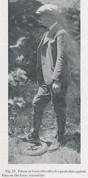 Steve Curry (@stevecurrymd) on Twitter photo This 1927 paper reports boots to be effective at preventing lower extremity rattlesnake bites. But I've seen at least two patients bitten through leather boots. So, still stay 30 feet distant. <a href="/ToxAndHound/">The Tox And The Hound</a>
biodiversitylibrary.org/item/204589#pa… This 1927 paper reports boots to be effective at preventing lower extremity rattlesnake bites. But I've seen at least two patients bitten through leather boots. So, still stay 30 feet distant. <a href="/ToxAndHound/">The Tox And The Hound</a>
biodiversitylibrary.org/item/204589#pa…