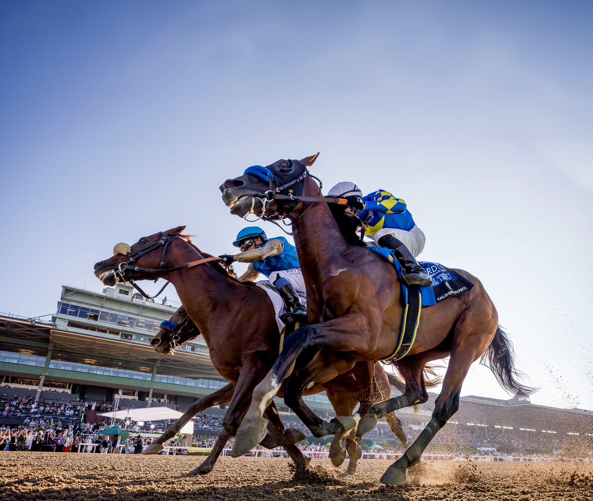 In a three-way photo finish, Subsanador delivers a thrilling upset victory in the inaugural California Crown Presented By <a href="/sirdavisbeyonce/">pop</a> American Whisky. 👑