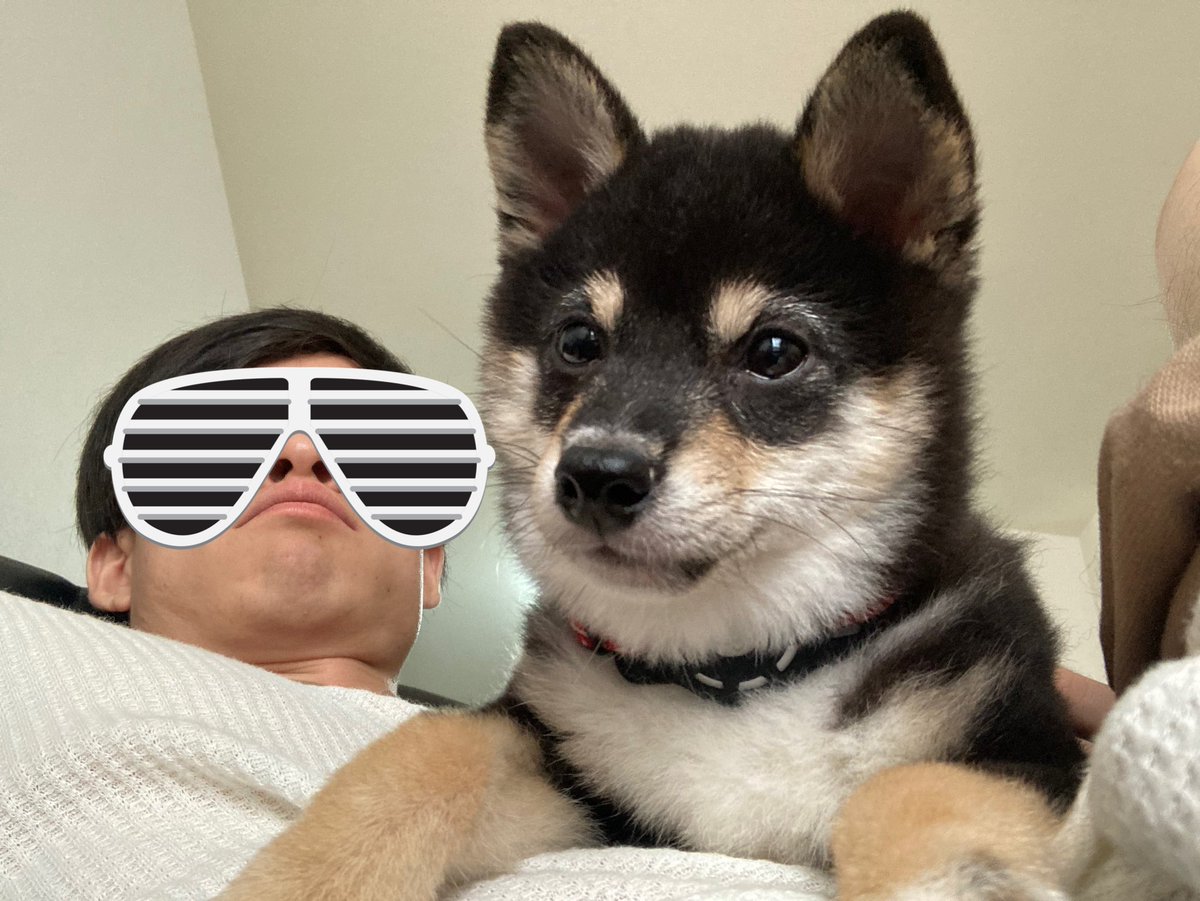 hijikishiba's tweet photo. 😜 https://t.co/iQWULA3IIZ