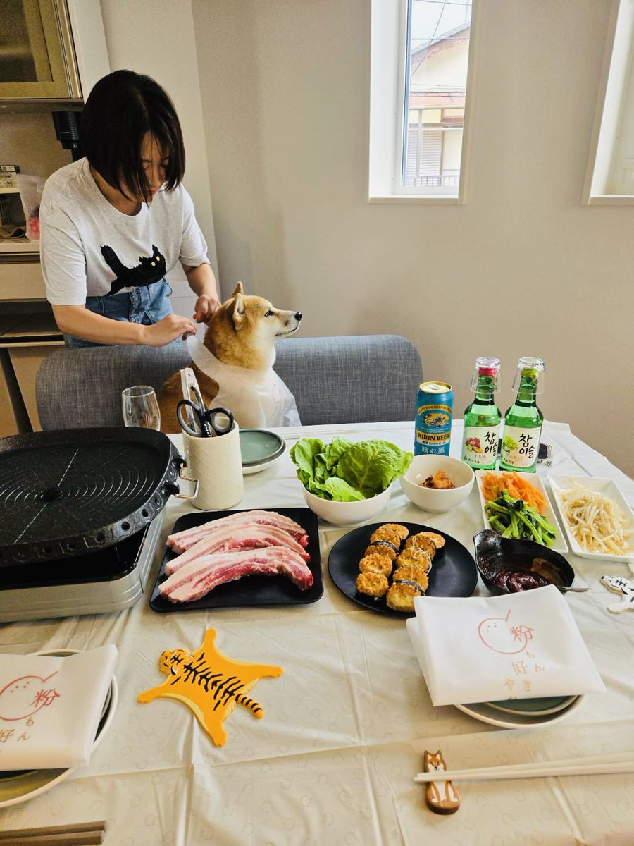 昨日の紙エプロンを得意気に付けられてる我が子をみんなに見て欲しい🤭

「ボクも参加出来る〜」
と期待とワクワクとルンルンの感情が
横顔から溢れ出ております🤭

 #柴犬