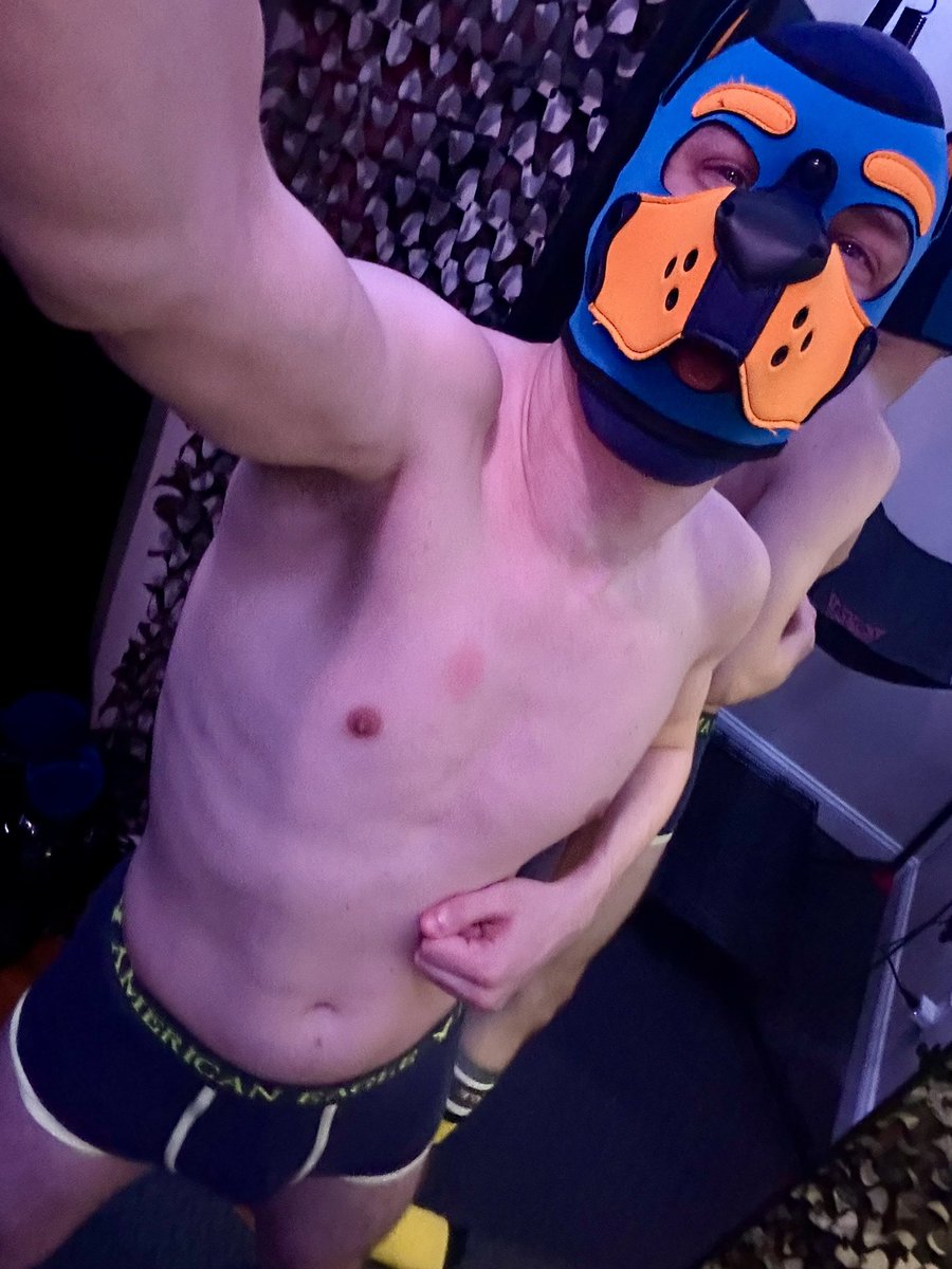 PupKodaa's tweet photo. Happy to be back in my kennel https://t.co/PdCK3gw84I