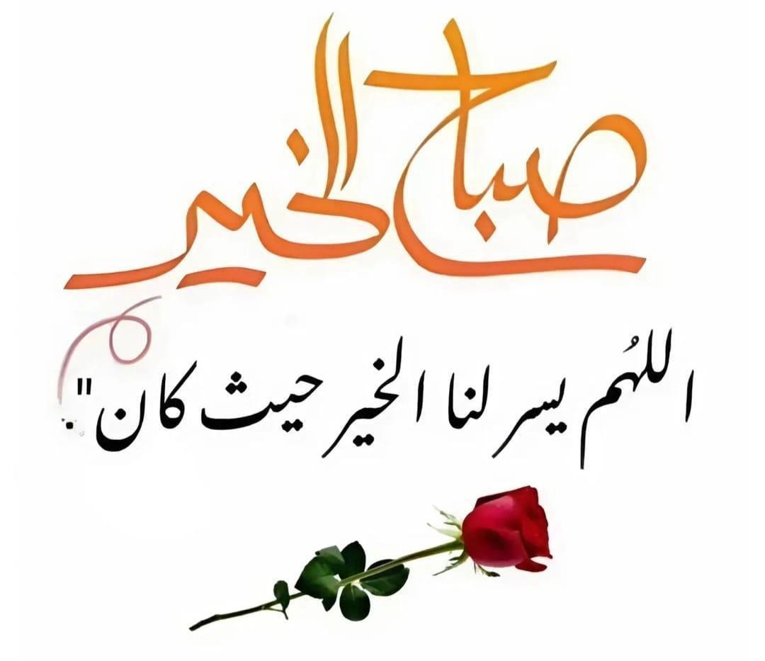 حسين السعدي حساب بديل (@synlsdy07156613) on Twitter photo 