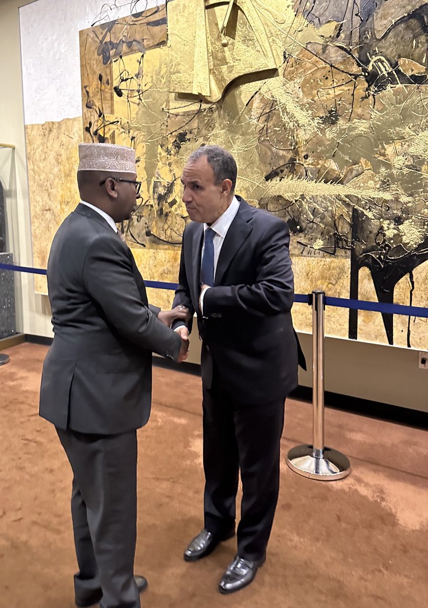 “Ilaalinta madaxbanaanida iyo midnimada dalku waa tiirka koowaad ee siyaasadda arrimaha dibadda Soomaaliya.”