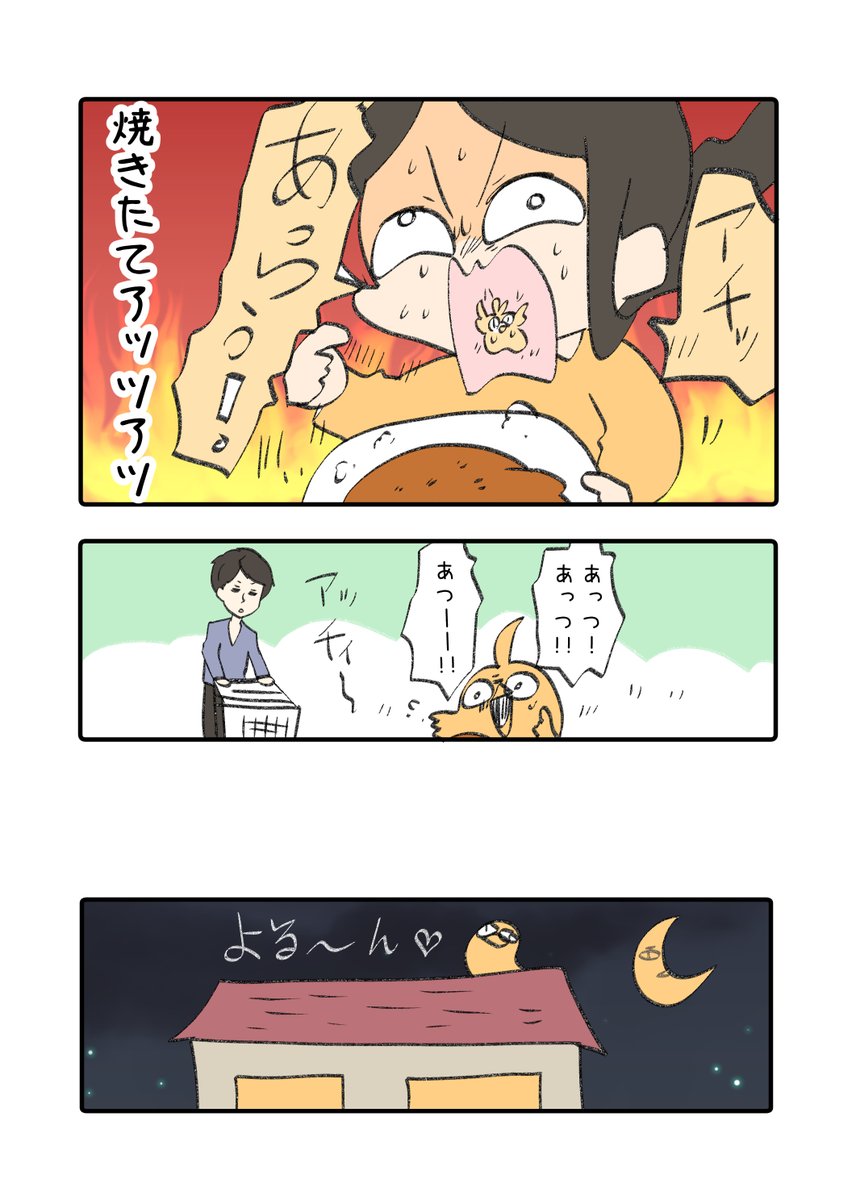 2/2 
