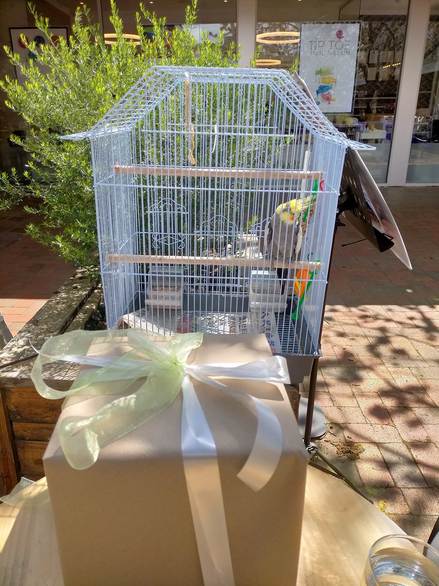 Dr. Ann Lawless tweet media