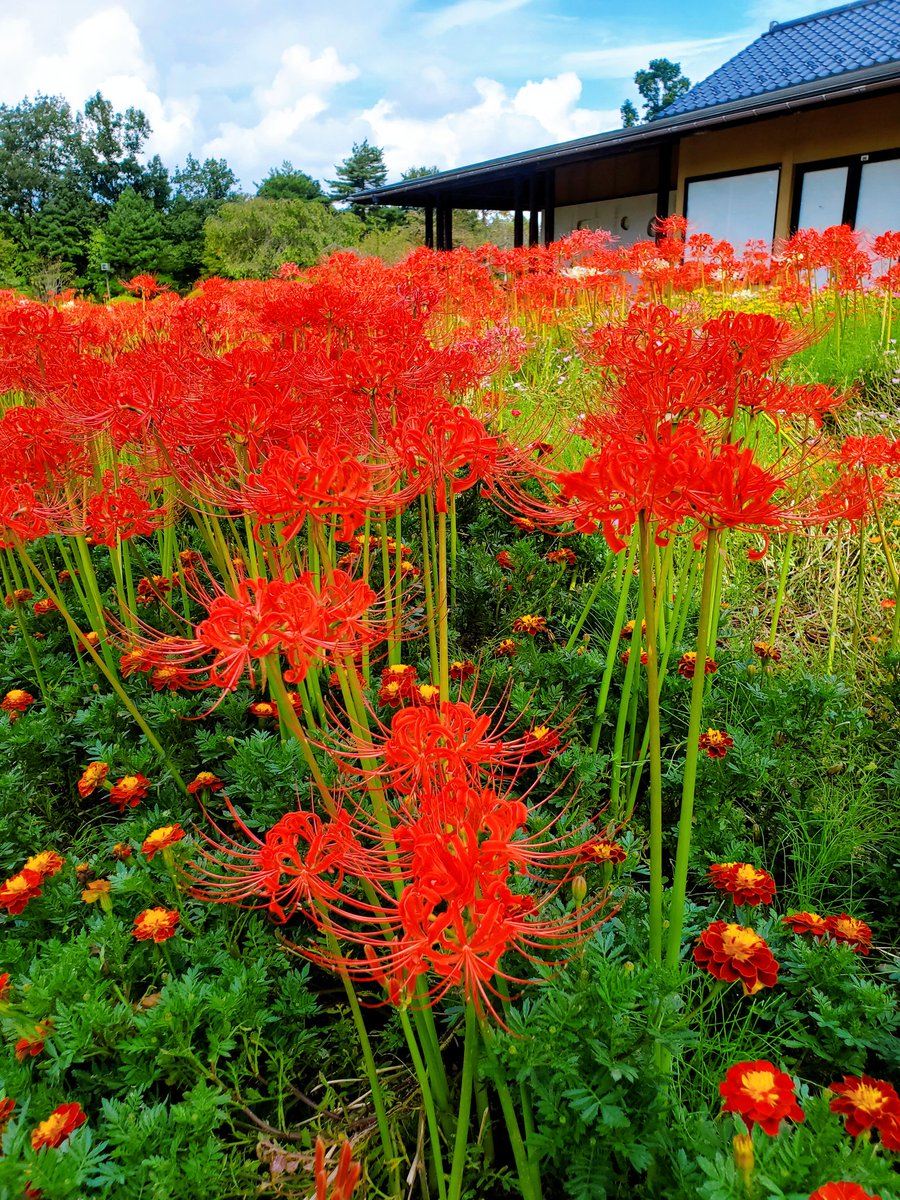 安達ヶ原ふるさと村の景観を良くする会 (@adatigaharakeik) / X