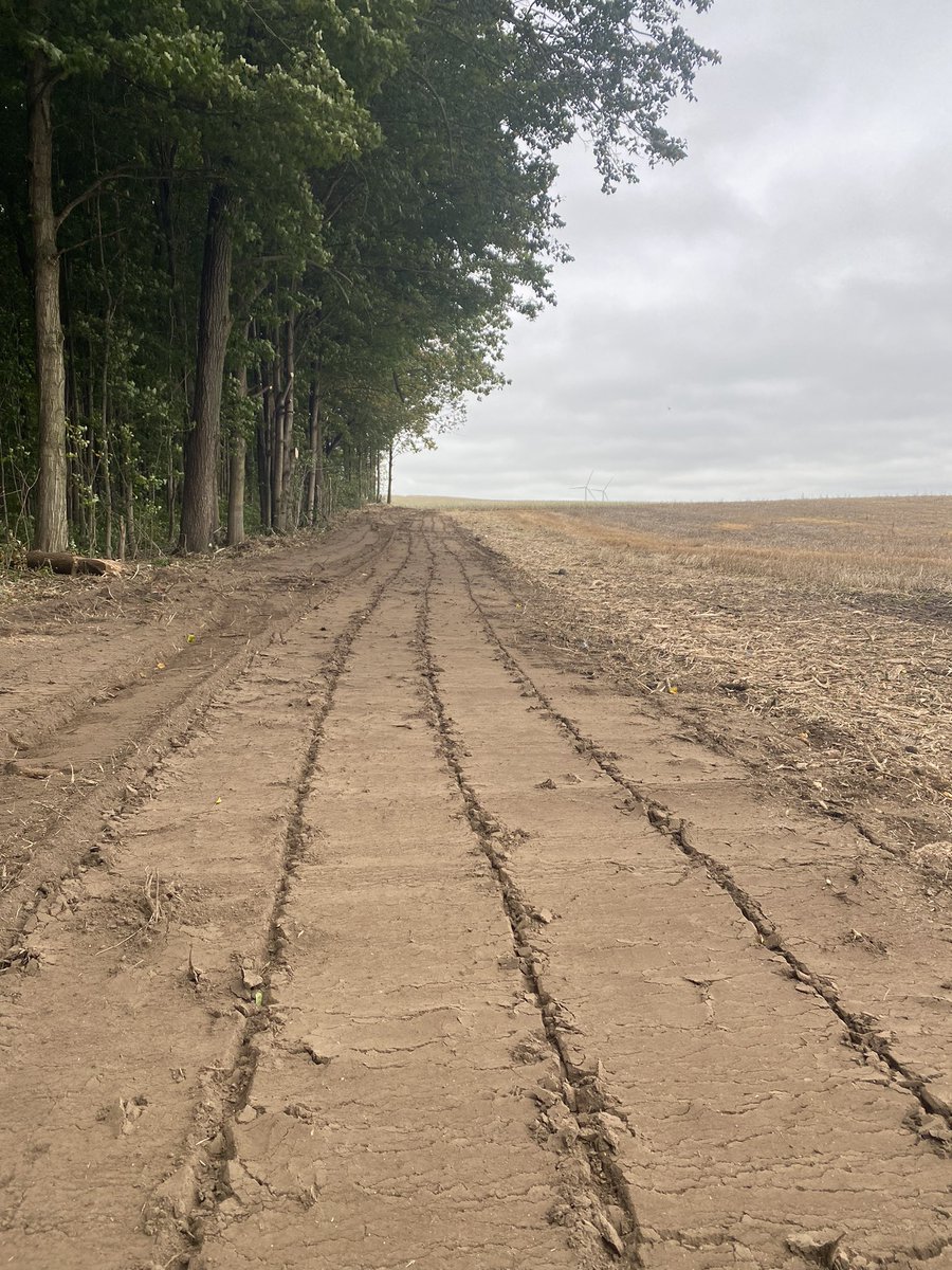 It’s a process.  Check out this recent project!  Before Pic. First Pass Rough Mulch. Second Limb Saw Pass. Final Surface Mulch. And finally the #HauptTLM exclusive below grade mulch returning your fields into full production. #ontag