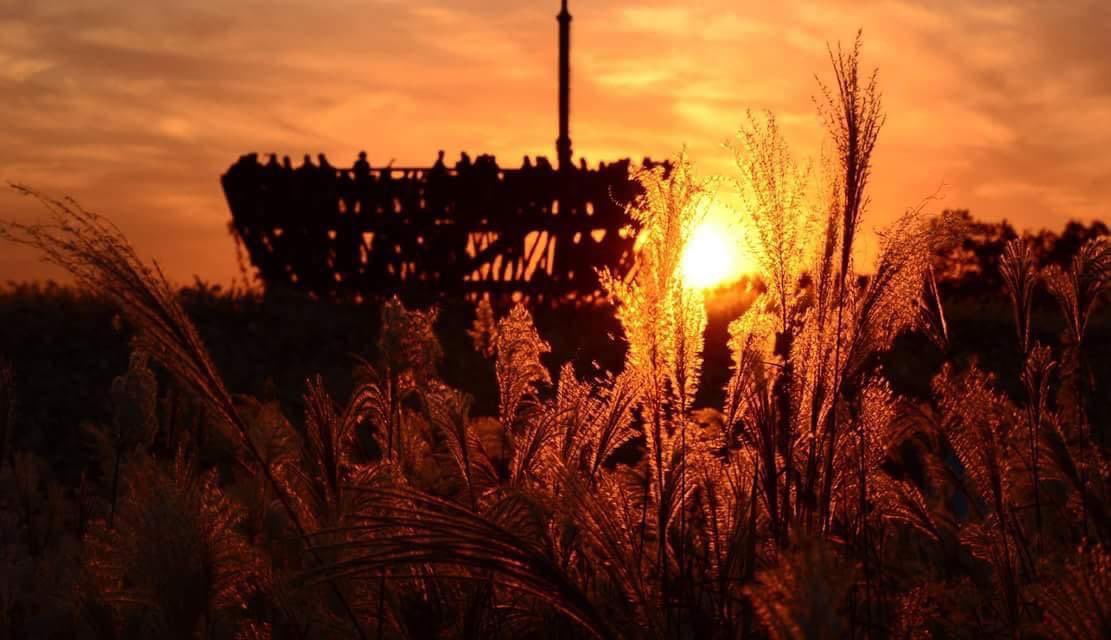 letstalkaboutKR's tweet photo. "서울 억새축제 หรือ "Seoul Silver Grass Festival 2024" เทศกาลดอกหญ้าบาน ที่ "ฮานึล กงวอน" หรือ "Haneul Park" ช่วงนี้ก็จะเป็นช่วงที่ดอกหญ้าบาน สวยมากๆๆ

ปีนี้จะจัดวันที่ 14-20 ต.ค. นี้ งานจะเริ่มตั้งแต่ 11.00-20.00 น. ในงานก็จะมีกิจกรรมต่างๆ มีบูธของกินต่างๆ และมาดูพระอาทิตย์ตกดินที่นี่ ไวป์ดีสุด

สำหรับใครที่มาไม่ทันในช่วงนี้ไม่ต้องเสียใจน้า ถึงจะไม่ทันงานแต่ยังแวะมาเที่ยวมาถ่ายรูปกันได้ แอดแนะนำเลยว่าต้องมา ที่นี่ถ่ายรูปสวยมากจริงๆ

การเดินทาง
รถไฟใต้ดินสถานี Worldcup Stadium ทางออก 1 แปะแผนที่ข้างล่างน้า

#รีวิวเกาหลี