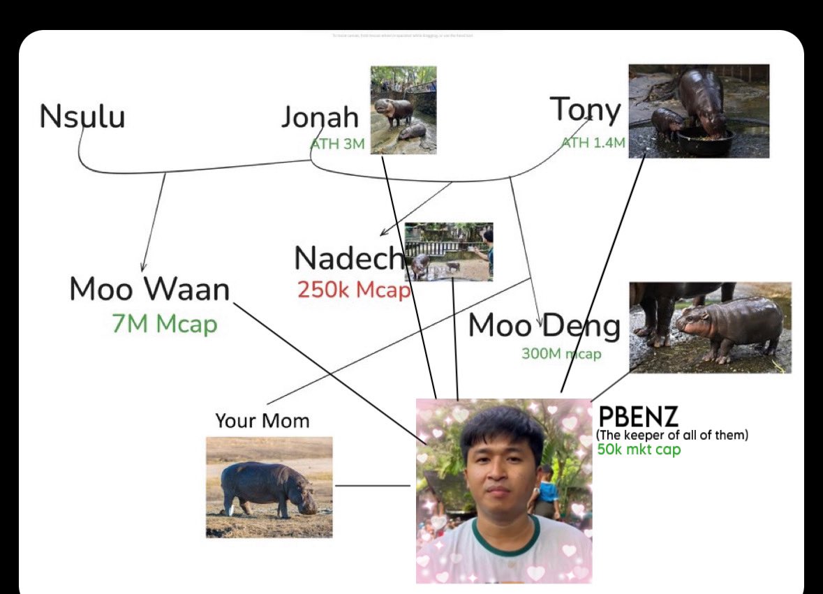 Pbenz | Keeper of Moo Deng CTO tweet media