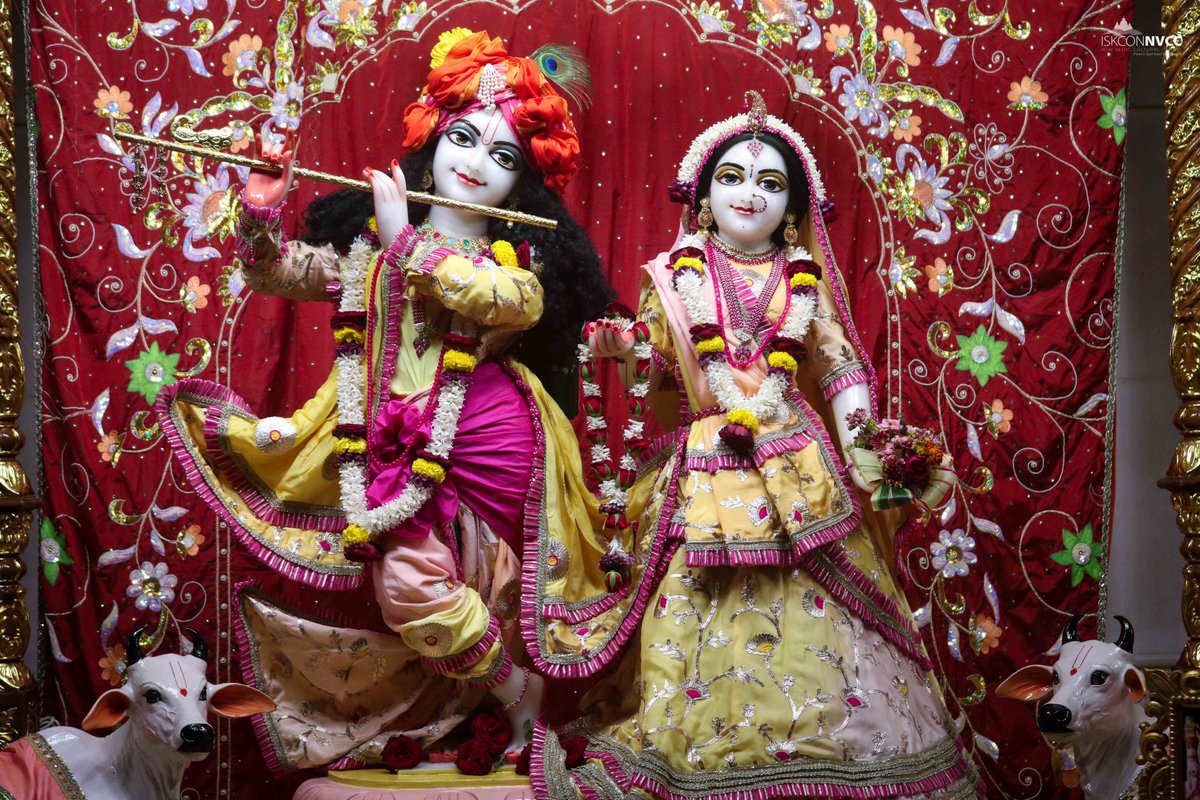 ISKCONPune's tweet photo. 🌷Mangal Arati Darshan🌷🗓29/09/2024🙏🚩@ISKCONNVCCPune🚩
.
.
#ISKCONNVCCPune #ISKCONNVCC #ISKCONPune #ISKCON
#29thseptember #29thseptember2024 #Sunday
#kirtan #Harekrishna #Krishna #Kirtan #Krishna
#Harinaamsankirtan #Radheshyamdas
#Radhe #Radha #Radhakrishna #Radheradhe https://t.co/cis9Dgt920
