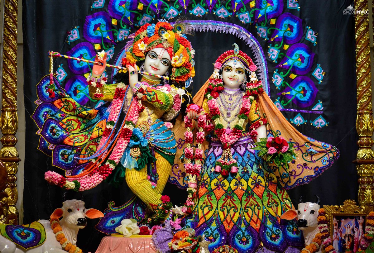 ISKCONPune's tweet photo. 🙏🏽Today's Darshan 📿 🗓29-09-2024🙏
🌷Sri Sri Radhavrindavanchandra🌷
🚩@ISKCONNVCCPune🚩
.
.
#ISKCONNVCCPune #ISKCONNVCC #ISKCONPune #ISKCON
#29thseptember #29thseptember2024 #Sunday
#kirtan #Harekrishna #Krishna #Kirtan #Krishna
#Harinaamsankirtan #Radheshyamdas
#Radhe #Radha https://t.co/Gnz4jGLrwC