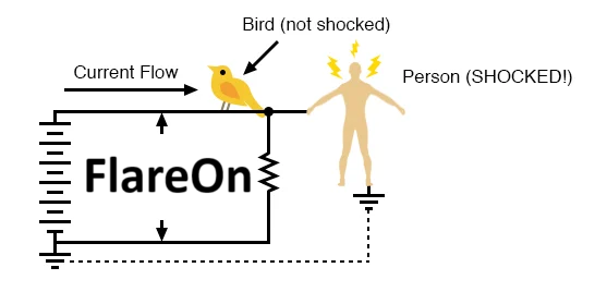 nugxperience's tweet photo. Tinkering with electrical circuits is for the birds. 6 down. #flareon11 https://t.co/HdAQcJLnlM