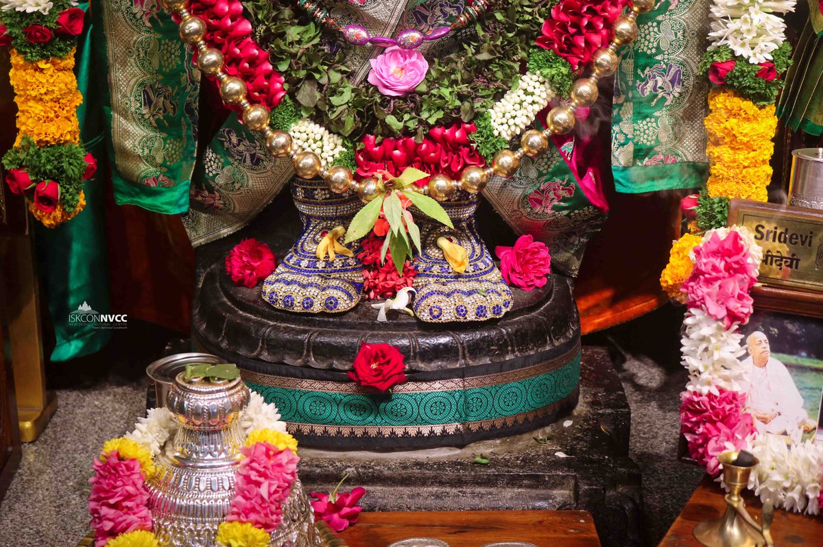 ISKCONPune's tweet photo. 🙏🏽Today's Darshan 📿 🗓29-09-2024🙏
🌷Sri Balaji🌷
🚩@ISKCONNVCCPune🚩
.
.
#ISKCONNVCCPune #ISKCONNVCC #ISKCONPune #ISKCON
#29thseptember #29thseptember2024 #Sunday
#kirtan #Harekrishna #Krishna #Kirtan #Krishna
#Harinaamsankirtan #Radheshyamdas
#Radhe #Radha #Radhakrishna https://t.co/HnxezozlWB