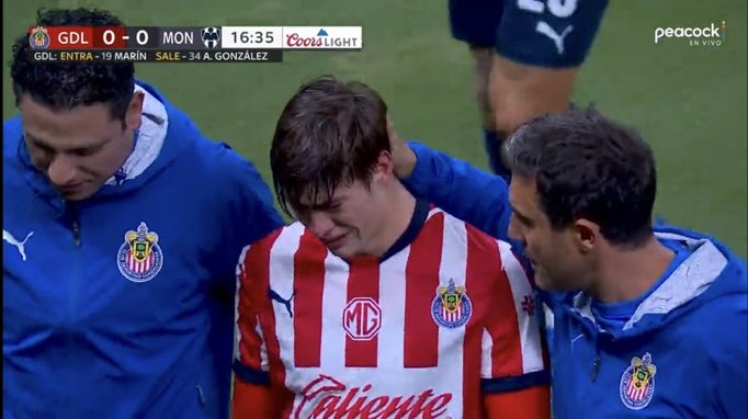 BAVARIAN tweet media