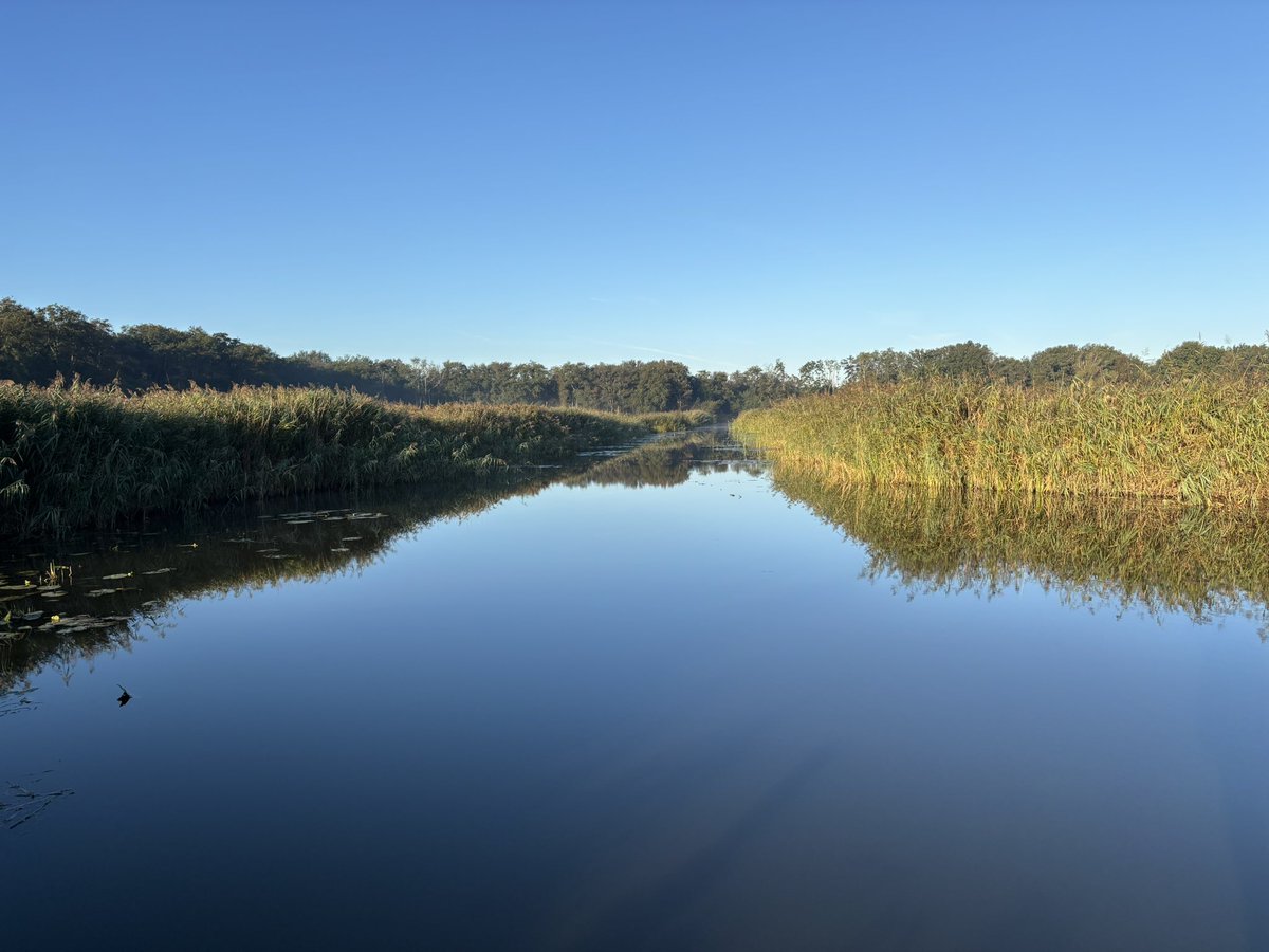 Groeten vanaf het Naardermeer!
Klaar voor <a href="/VroegeVogels/">Vroege Vogels</a>