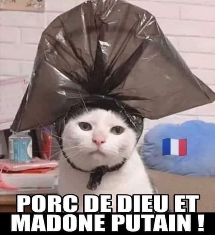 anonymousCow4rd's tweet image. il bot che mi mette like al post sui bot ....