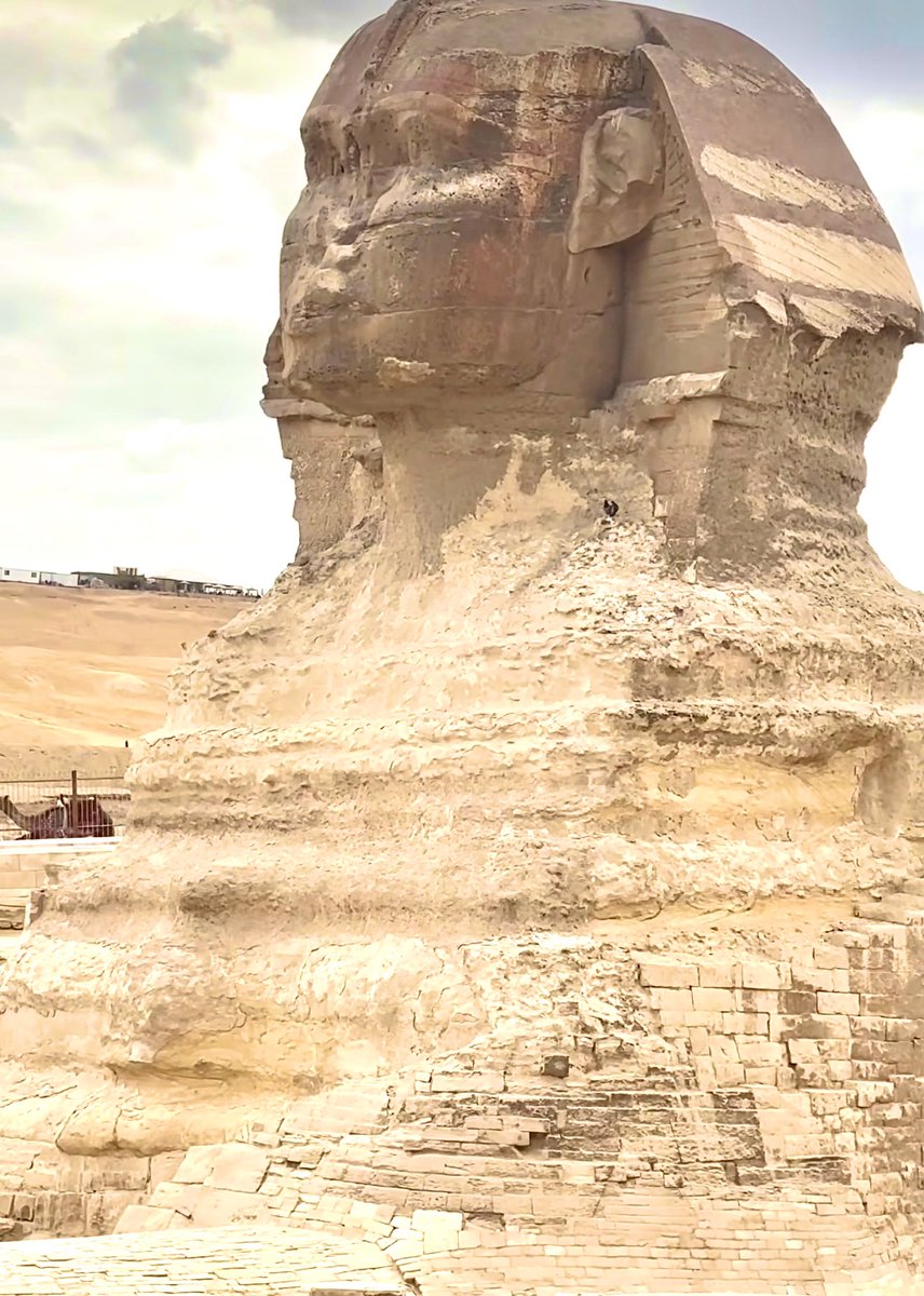 Third_Eye_Seeks's tweet image. 👀💭 The American Association of Petroleum #Geologists agreed with @RobertSchochPhD’s analysis. 2 Geologists also published a paper on the weathering of the #Sphinx, the geological data suggested the Sphinx was submerged in water in the Early #Pleistocene. #Archaeology #Giza