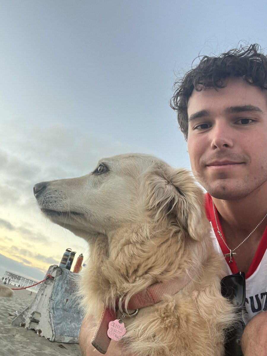 bendolan22's tweet photo. Dogs rock https://t.co/DMdSUJTg1j