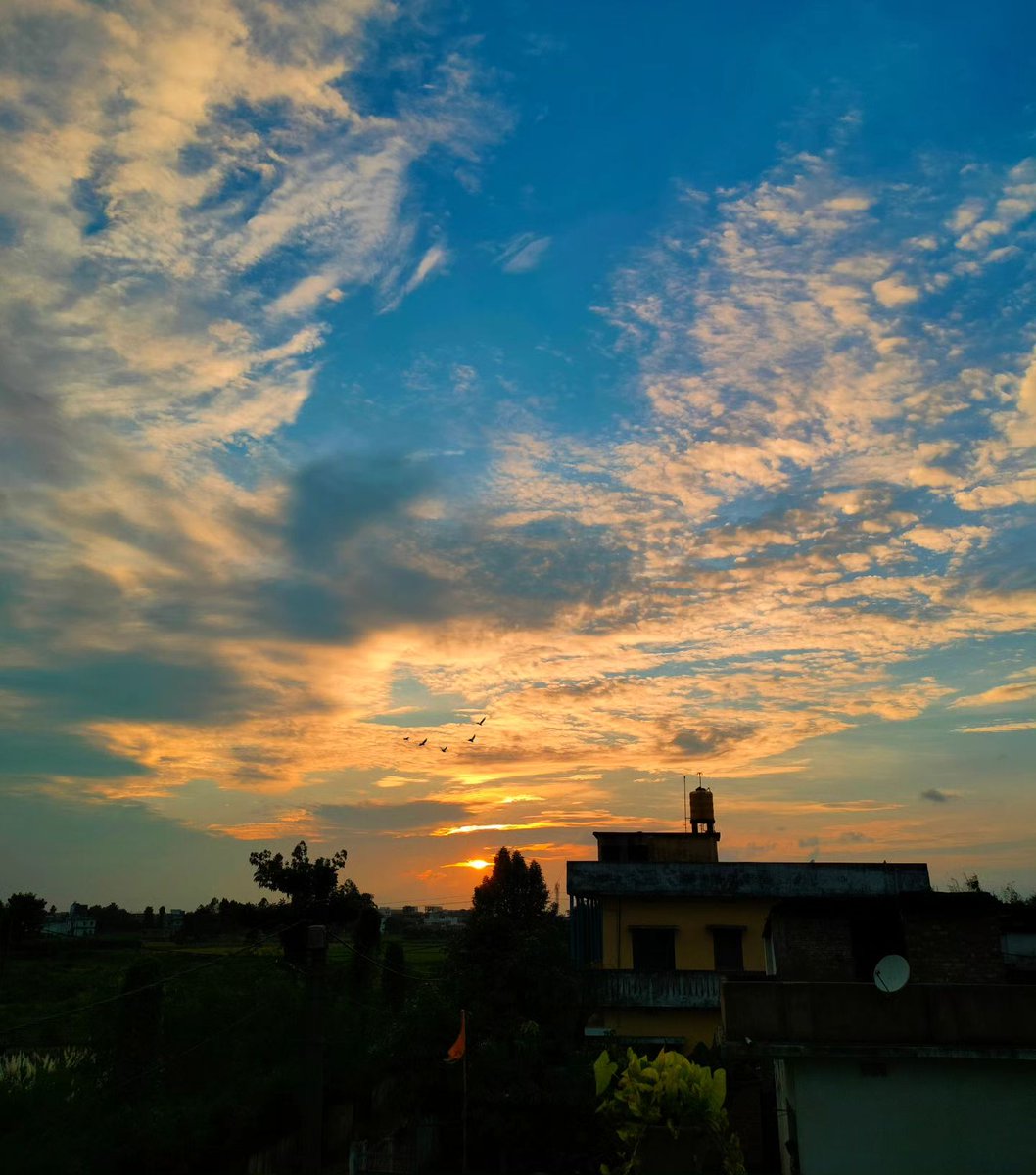 ramkishor12553's tweet photo. Good morning X family ❤️ https://t.co/pPPdFMBSt4