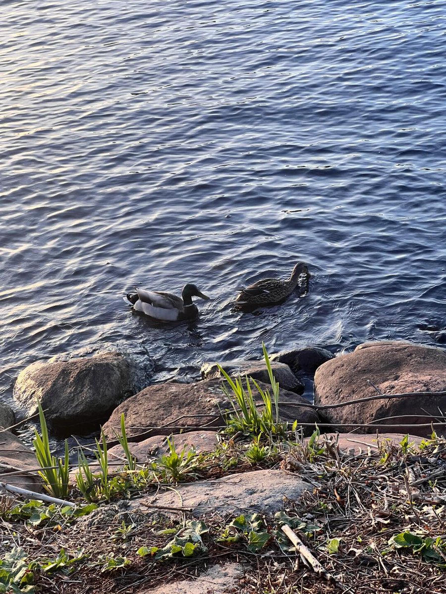 The only way to deal with the future is to function efficiently in the now. ⏱️