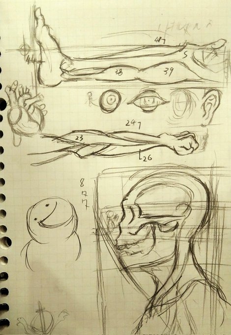 さ、午後も頑張りましょ(:3っ)っ 