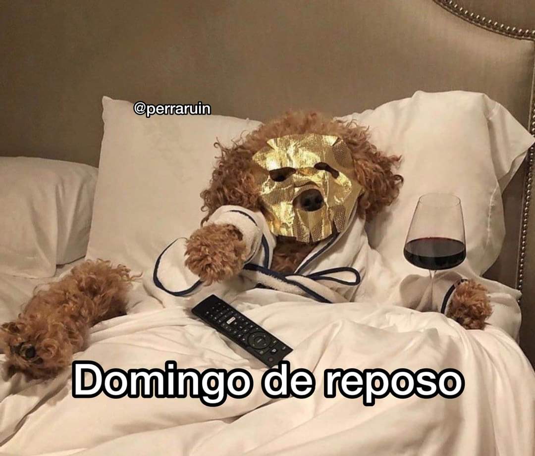 En Júpiter (@en_jupiter_) on Twitter photo 