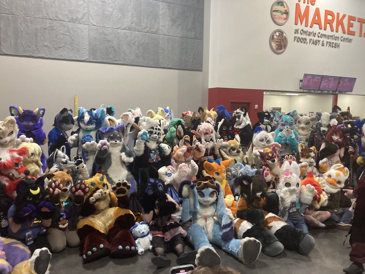 omg so many kemono suits in <a href="/AnotherFurryCon/">Anthro SoCal</a>’s Kemono Meet &amp; Greet! I didn’t expect such a large turnout for the style in a Western con.

Unfortunately, I wasn’t able to get a lot of the suiters’ handles. If you see any you recognize, make sure to tag them! #AFC2024