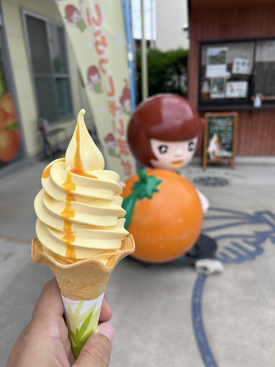 take687's tweet photo. 本日のソフト
#三日日ミカン
#MIKACHAN https://t.co/xgWTiUcTMN