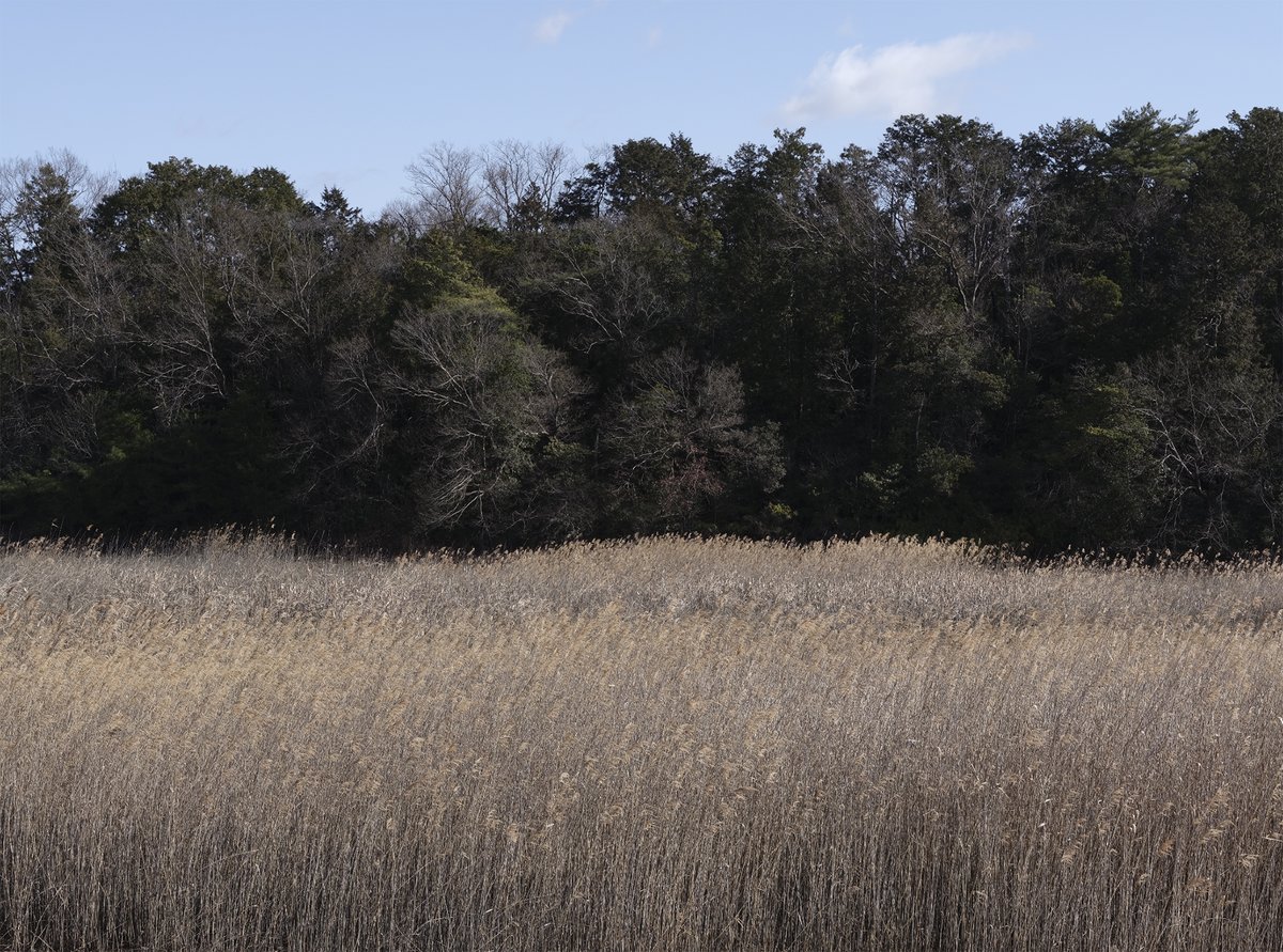 galleryMain's tweet image. 【展覧会情報】
Re[　]De:|| Ph.1 ｜中澤有基写真展
2024.10.4 金 - 10.13 日

2024年4月に先に開催された第3部に連なる第1部となる今展覧会では、見ること、写真というフォーマット、写真を見ること、などをテーマとした作品が展開される。新作を含む20点を展示予定。

gallerymain.com/posts/nakazawa…