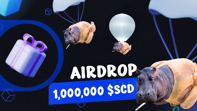 4WDxyz's tweet photo. @SCDonsol @IDOsolme the best memecoin $SCD 🔥

5X7rDSJanCSvc9xta9k1yyPi8gA1PgLgf1QLETFUT3bY

@pikaso_me screenshot this
@memdotai mem it https://t.co/JDie7yRixi