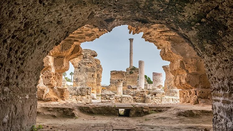 Tristan Hughes tweet media