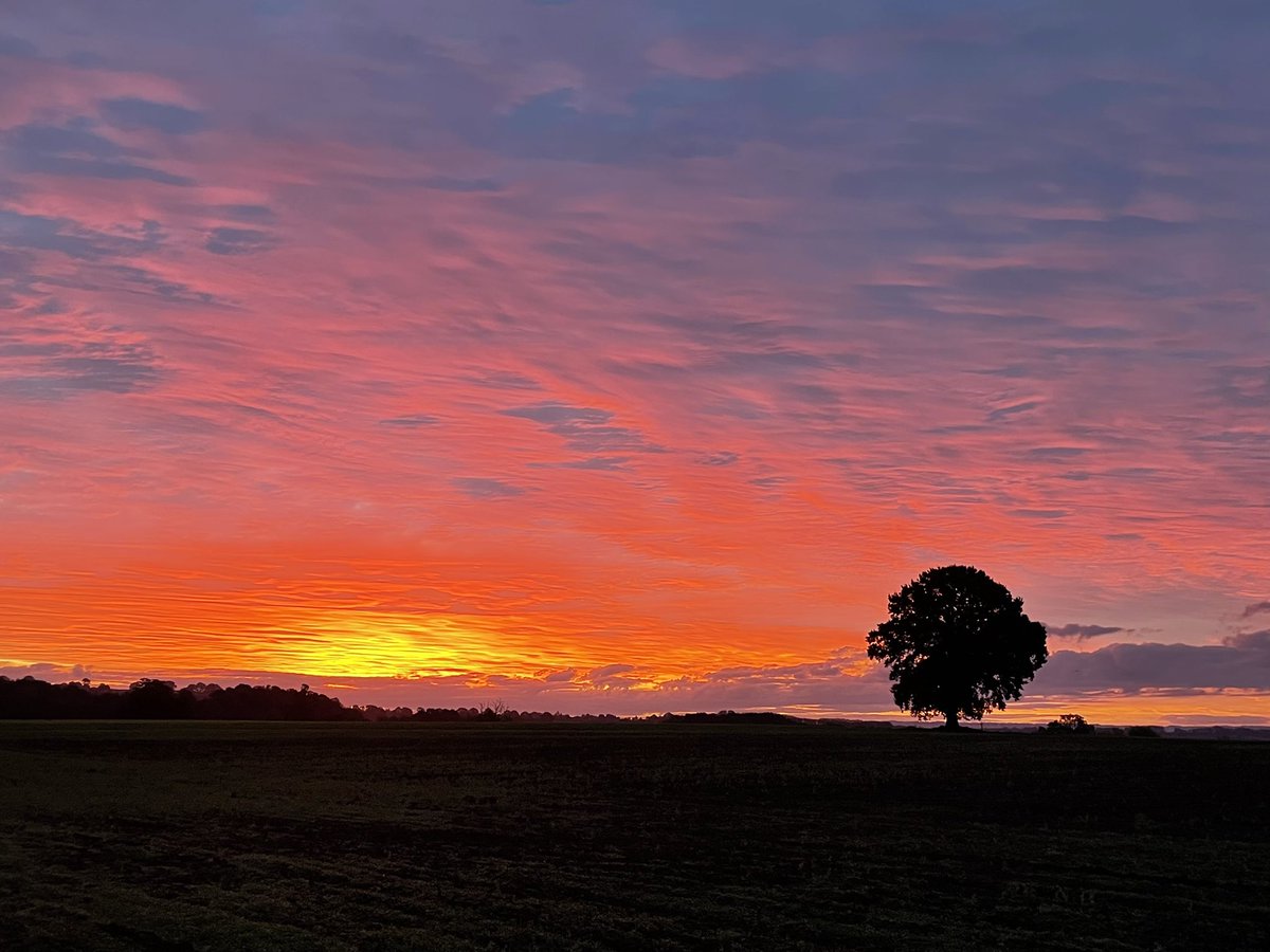 MickletonGlos's tweet image. This morning. #Mickleton