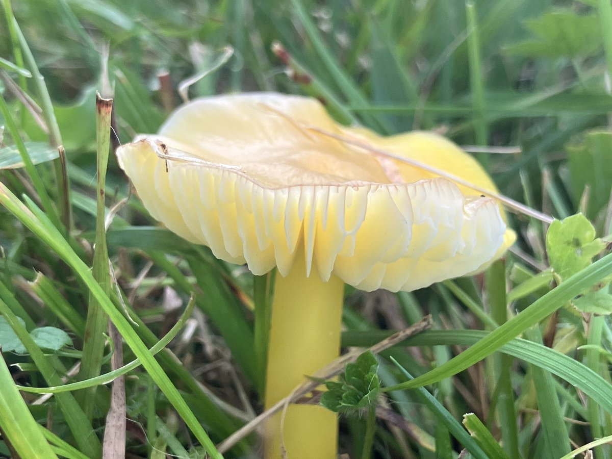 cat frampton tweet media