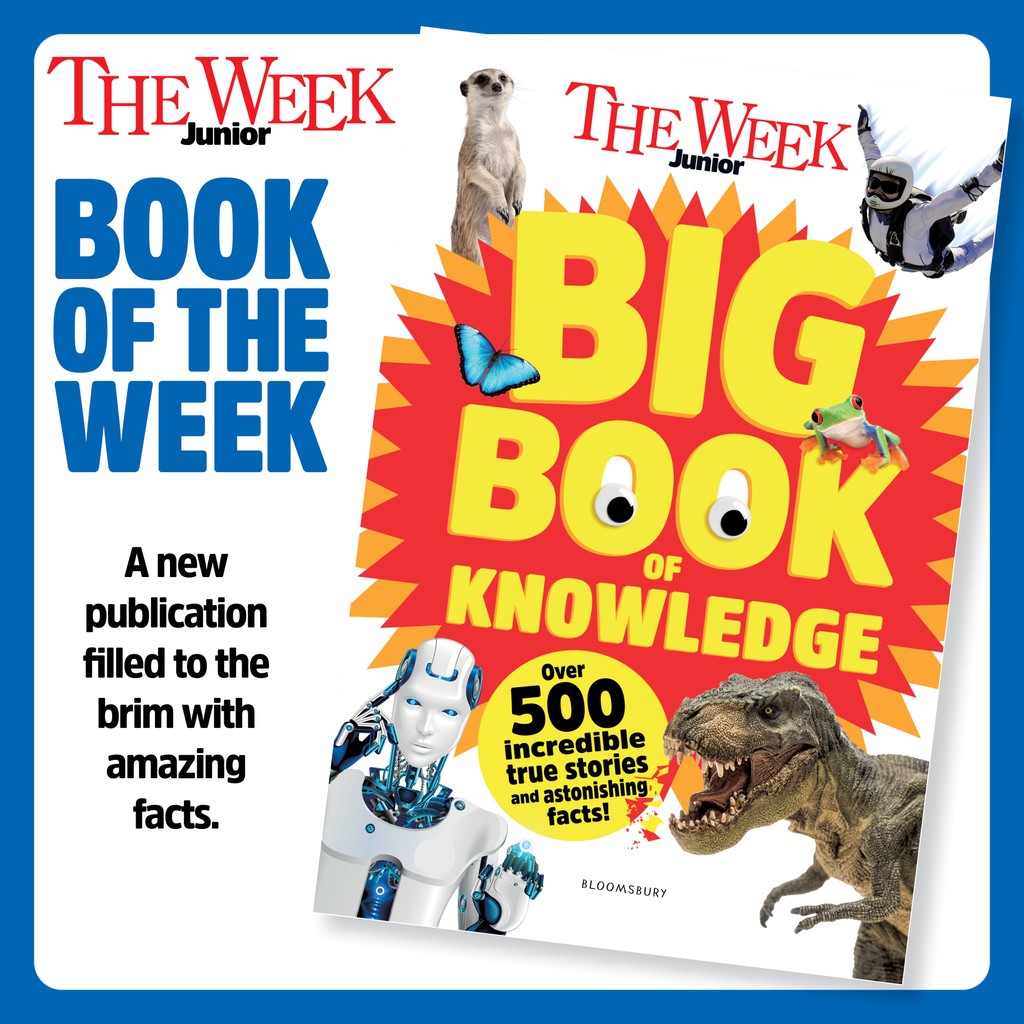 theweekjunior's tweet photo. π― Our latest #BookoftheWeek is our very own #BigBookofKnowledge, published by @kidsbloomsbury.
π Find five fantastic facts from the book. Also, we interview children's author @kwamealexander, who will be performing at this year's @ChildrensBkShow.
πΈ Β© https://t.co/nlMUOCRniC https://t.co/XnLP5g1JV1