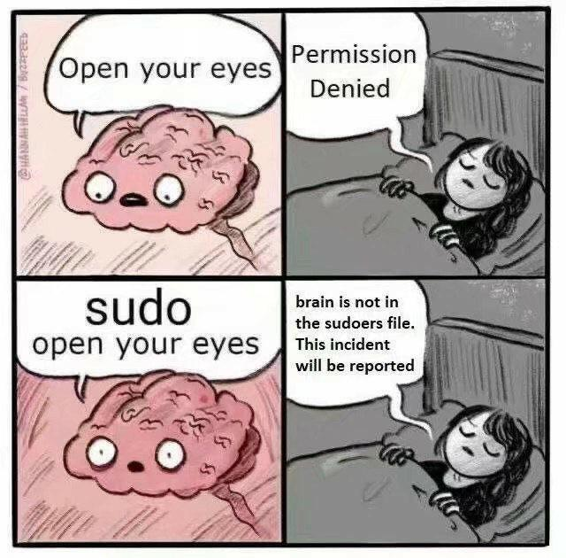 j_ishtiak's tweet photo. Only way to get more than 4 hours of sleep as a Programmer.
#programmingmemes #codinghumor #linuxmeme https://t.co/R1zk6QVTgv